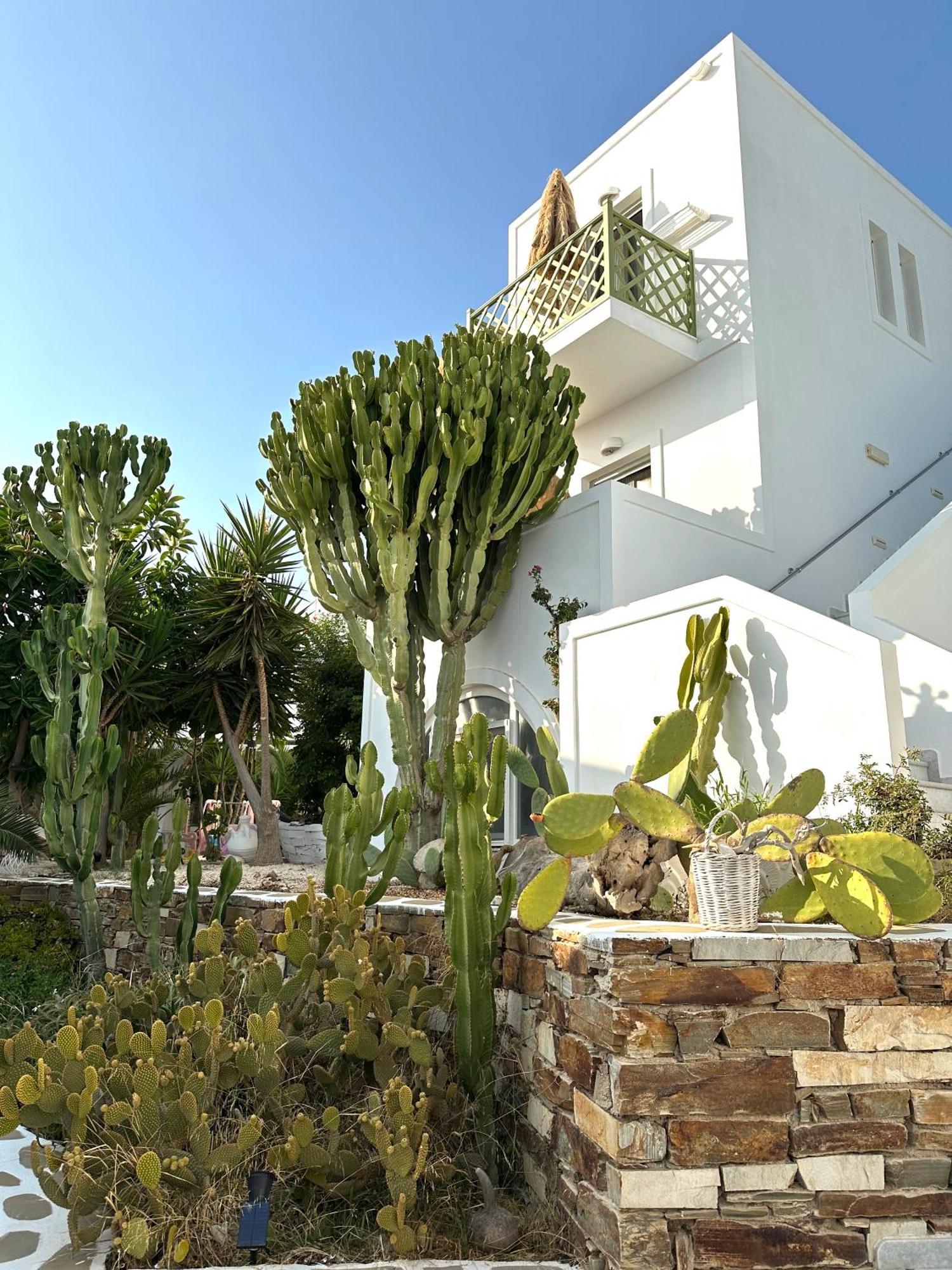Artemis Hotel Antiparos Luaran gambar