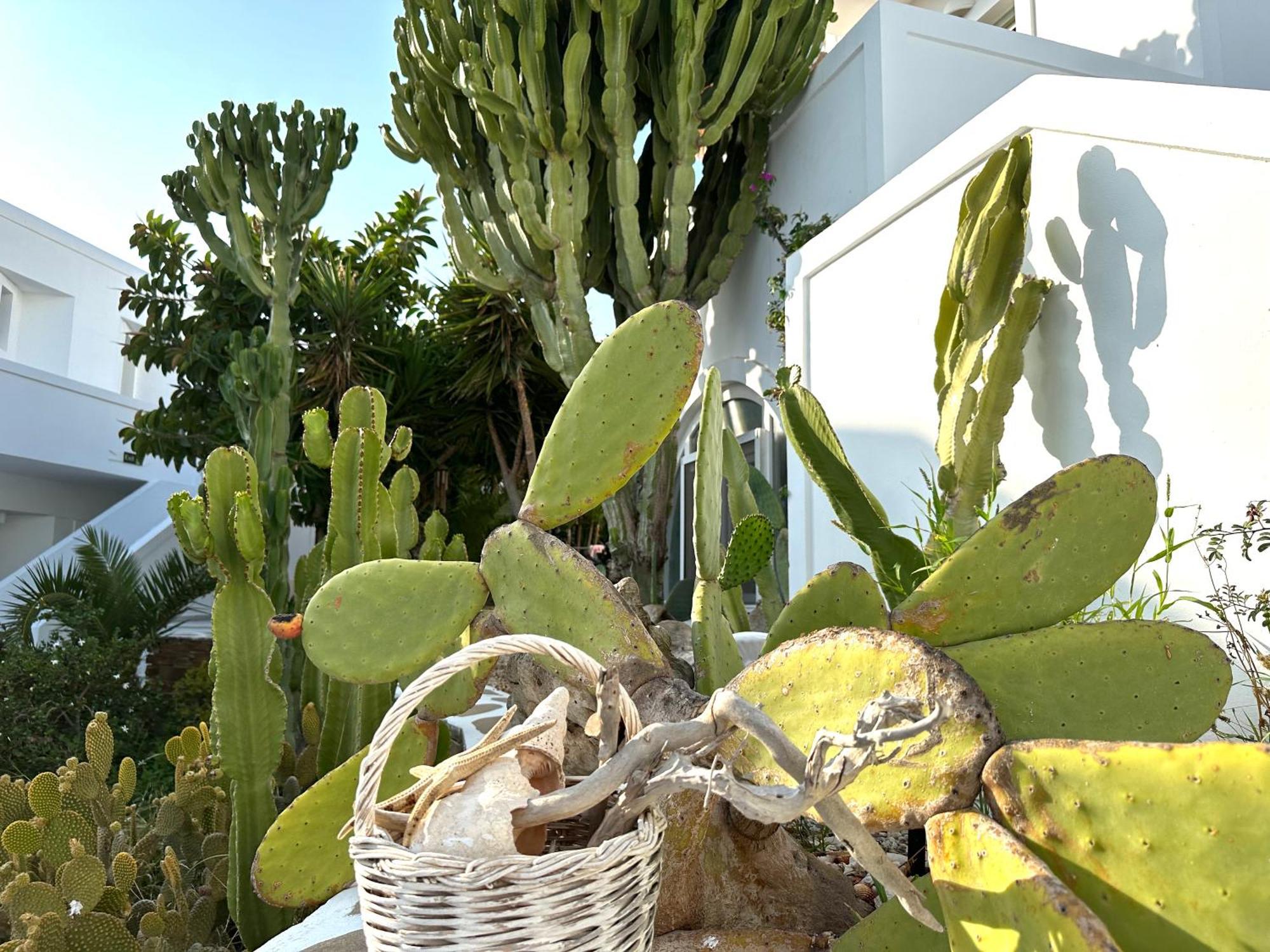 Artemis Hotel Antiparos Luaran gambar
