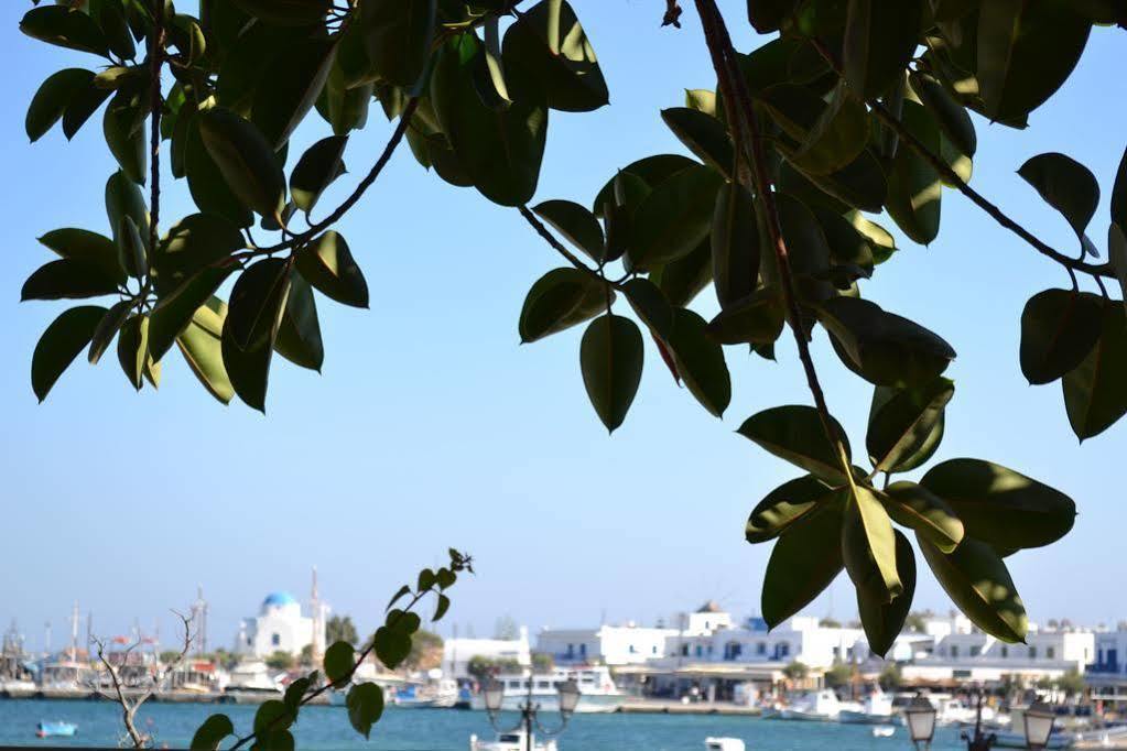 Artemis Hotel Antiparos Luaran gambar