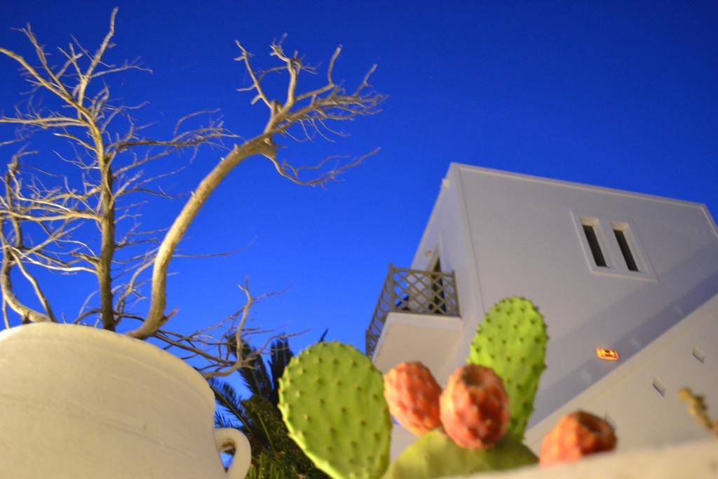 Artemis Hotel Antiparos Luaran gambar