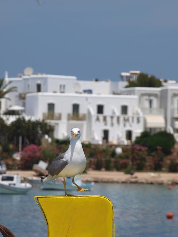 Artemis Hotel Antiparos Luaran gambar